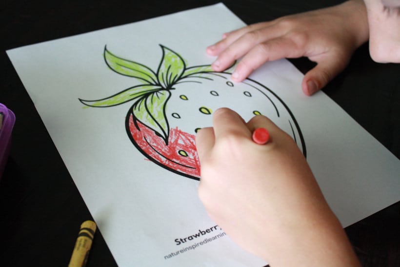 Boy coloring strawberry coloring page at kitchen table for summer activities for kids.