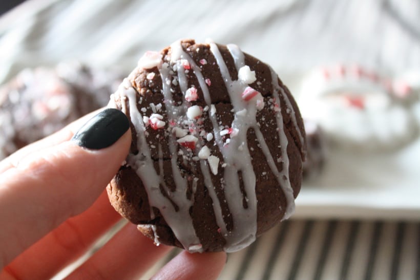 Woman holding cookie, showing close up detail of peppermint chocolate cookie.