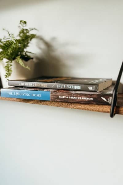 Picture of wall shelves with plant and two books displayed one being Adventuring Together for summer routine for kids and mom.