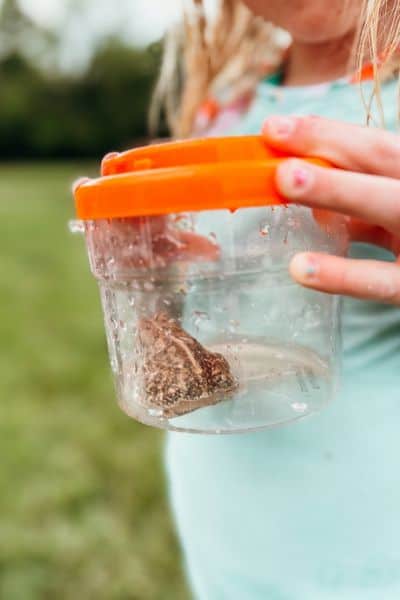 Girl holding a clear jar with orange lid and a frog inside to show screen-free summer ideas.